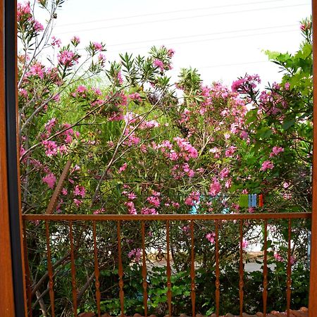 Villa Poseidon Dalyan Eksteriør billede